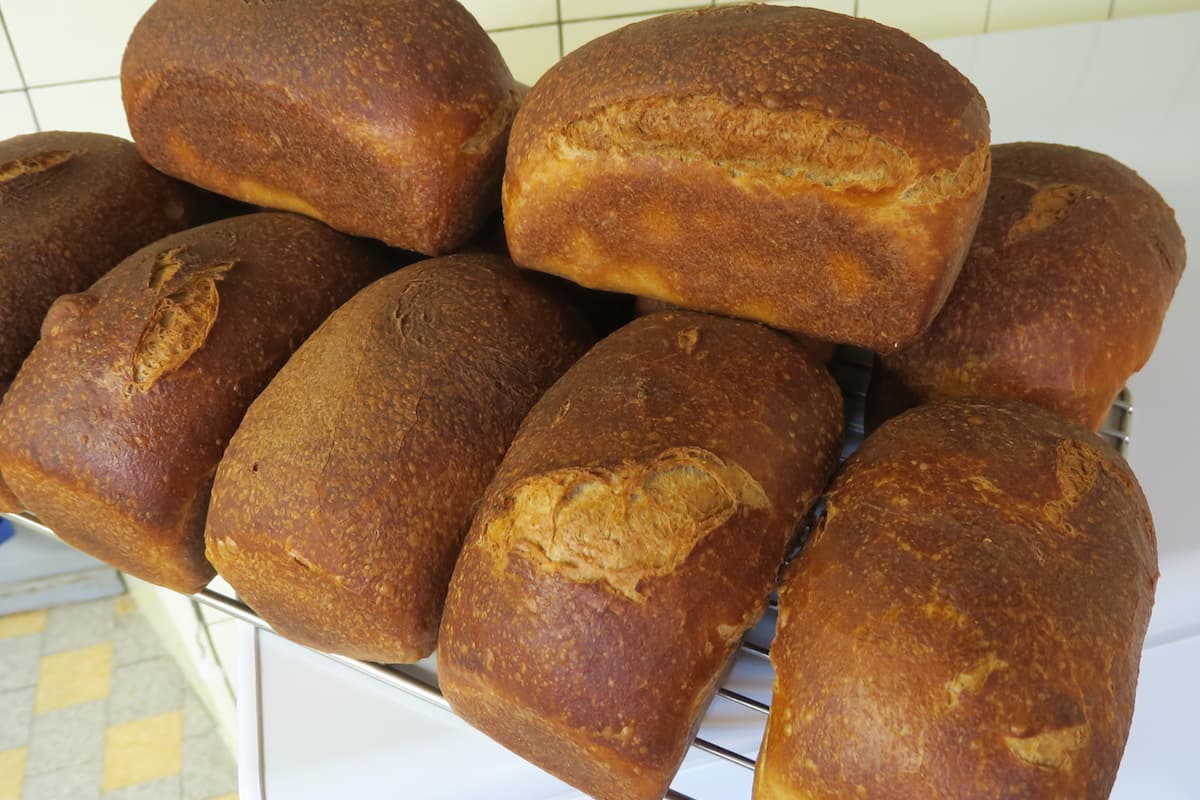 Hausgemachtes Brot aus der Alpenhof Küche.